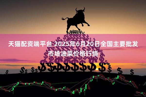 天猫配资端平台 2025年6月20日全国主要批发市场油菜价格行情