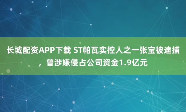长城配资APP下载 ST帕瓦实控人之一张宝被逮捕，曾涉嫌侵占公司资金1.9亿元