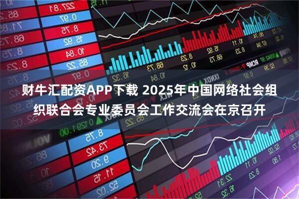 财牛汇配资APP下载 2025年中国网络社会组织联合会专业委员会工作交流会在京召开