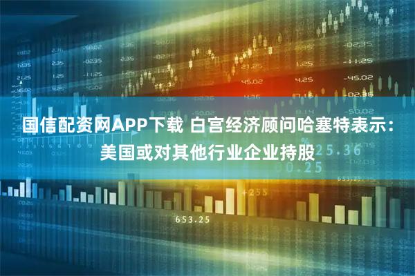 国信配资网APP下载 白宫经济顾问哈塞特表示：美国或对其他行业企业持股
